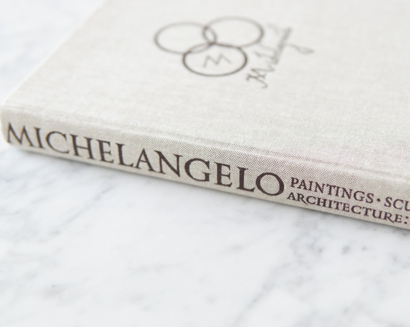 Vintage Michelangelo Painting, Sculptures, Architecture Book