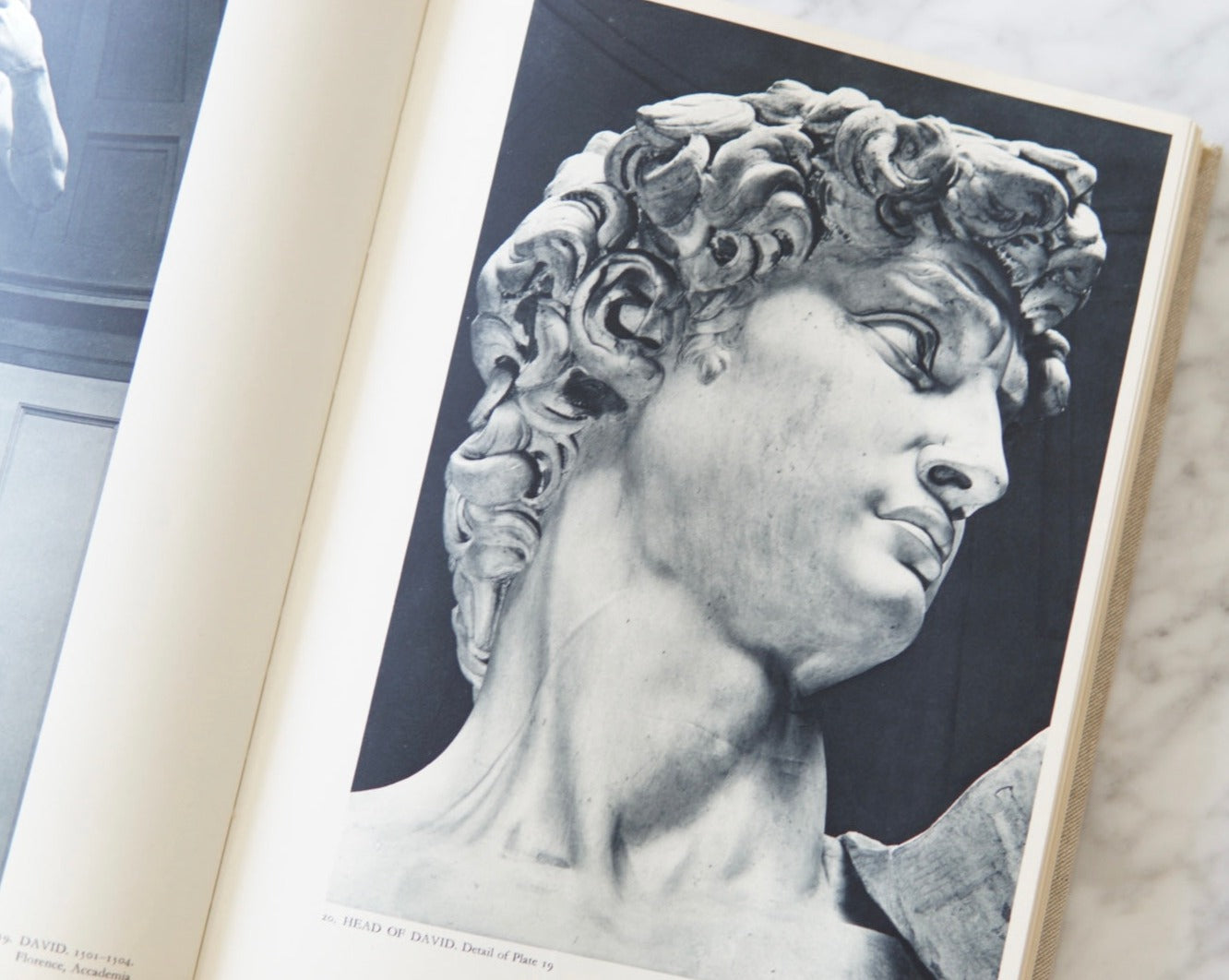 Vintage Michelangelo Painting, Sculptures, Architecture Book