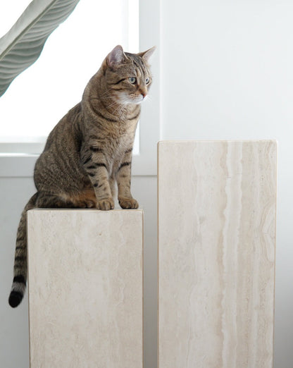 Vintage Travertine Pedestals