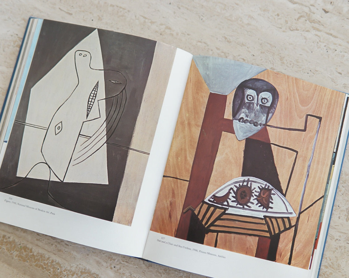 Vintage Pablo Picasso Coffee Table Book