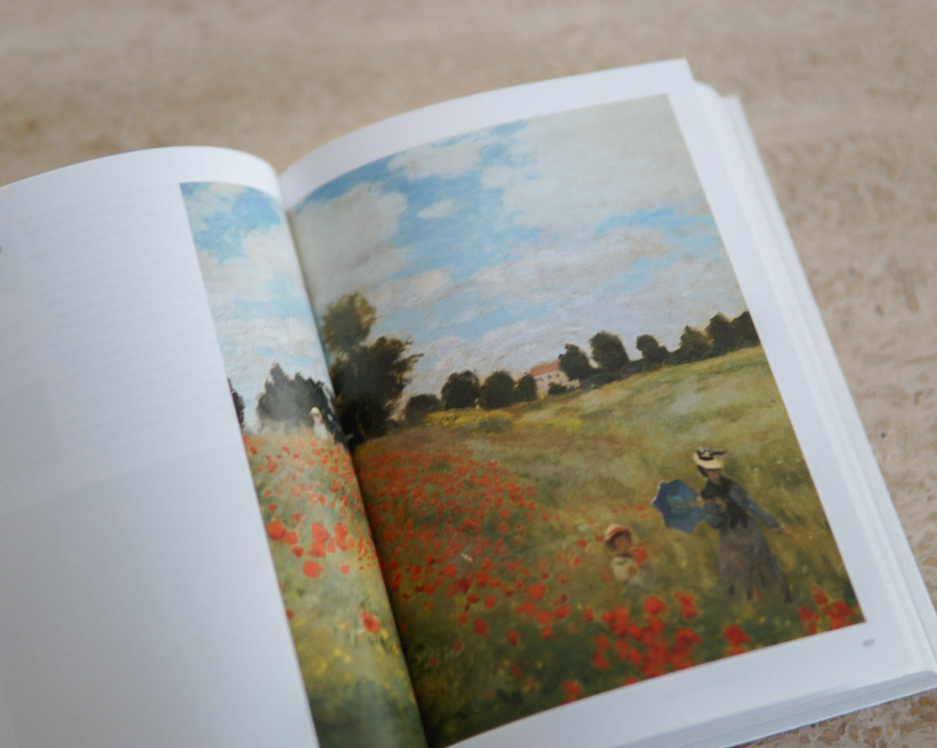 Monet: The Triumph of Impressionism Book